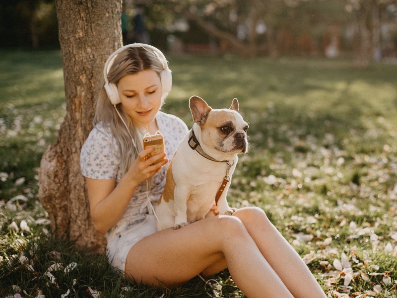 attractive woman sitting in park with French bulldog messaging Bumble openers on her phone