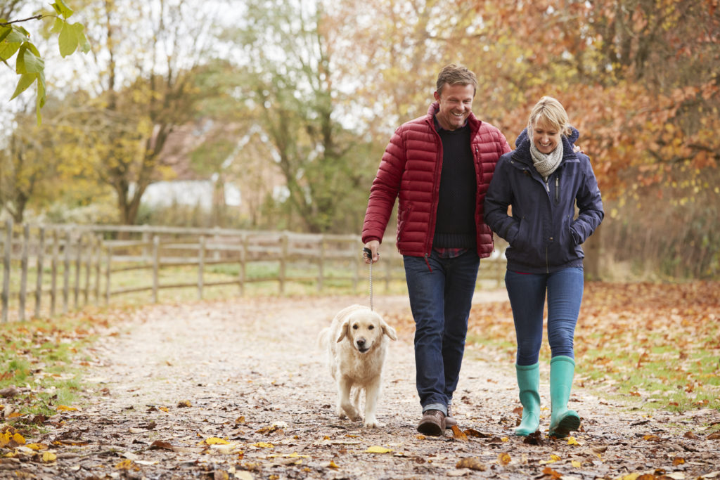 mature couple on a walk with a Labrador
