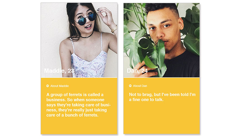 Two screenshots of some of the best bumble bios using the one smartass comment method.