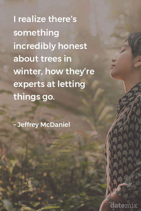 Broken Hearts Quote - I realise there's something incredibly honest about trees in winter, how they're experts at letting things go. &ndash; Jeffrey McDaniel