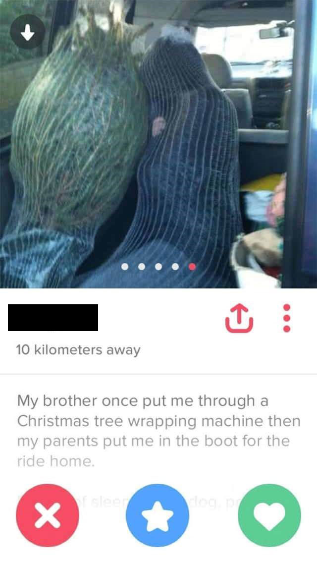 A screenshot of a funny dating profile with a Christmas tree.