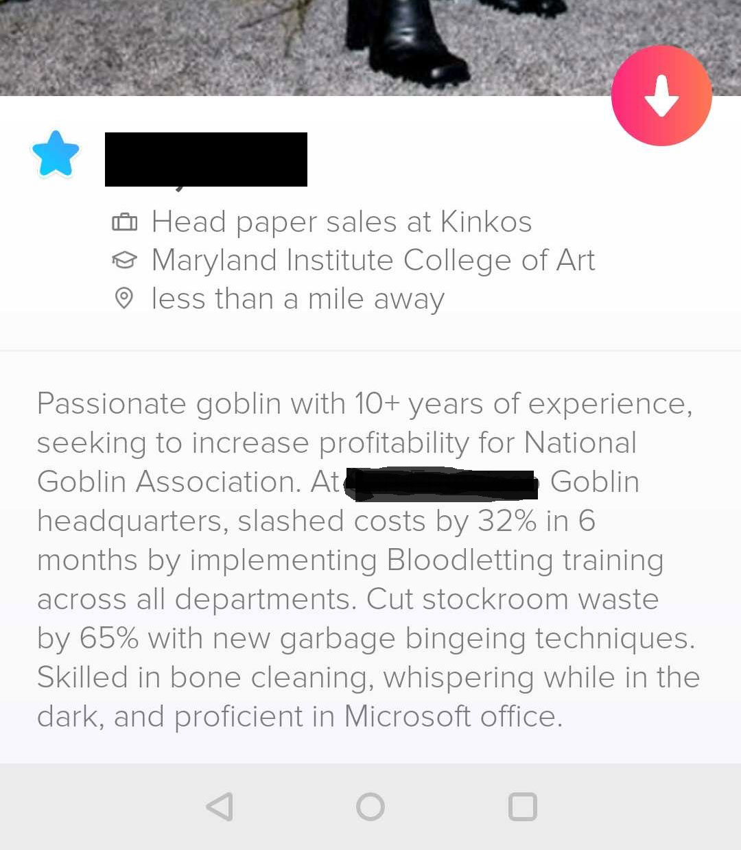 A screenshot of the funny dating profile below.