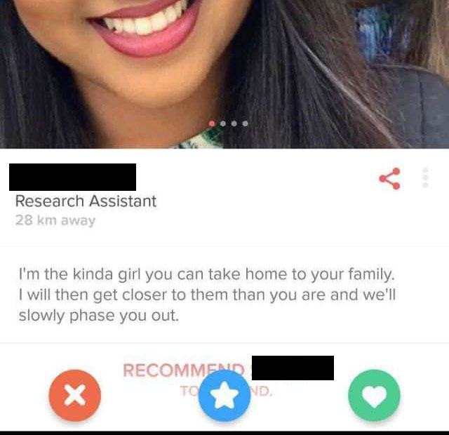 A screenshot of a funny dating profile written below.
