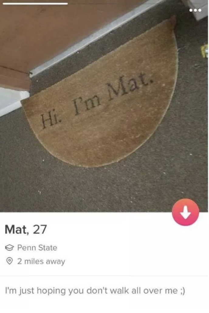 A screenshot of a funny dating profile with a picture of a house mat that says, "Hi, I"m Mat." on it and the description below.